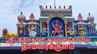 ஶ்ரீ பத்திரகாளி அம்மன் கோயில் - தாமரைக்குளம் | Must Watch video | prem 94