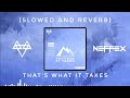 NEFFEX - THAT'S WHAT IT TAKES (slowed & reverb) | Feel the Reverb.