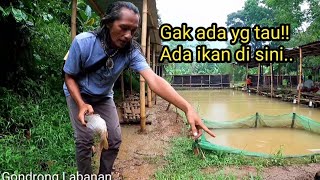 Rejeki!! bikin melongo para pemancing ketika saya strike Babon di luar kolam pemancingan