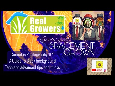 Cannabis Photography 101 A Guide to Dark Background Technology and Advanced Tips and Tricks ️️️