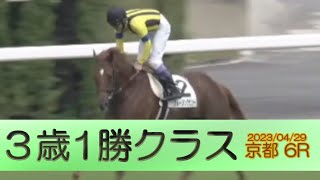 2023/04/29【パドック返し馬つき】京都6R　３歳1勝クラス　　☆アルーリングビュー　イスラボニータ　＃レースは8分ころから