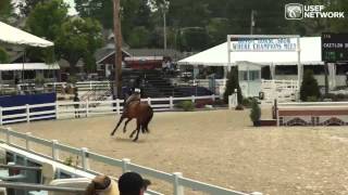 Caitlin Boyle - Top USEF Talent Search Ride at #DevonHS