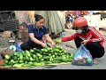 Harvesting Cucumber Garden goes to the market sell | Lý Thị Ca