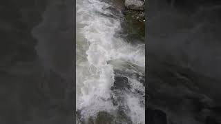 Paghman River | #afghanistan #viral #new #youtubeshorts #kabul #latest #اب #nature #پغمان #shorts