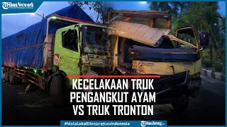 Detik-detik Kecelakaan Adu Banteng Truk Pengangkut Ayam Vs Truk Tronton, 2 Luka Parah