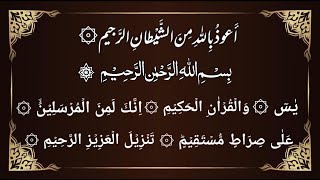 Live : 🛑 Surah Yasin Full  Heart Touching With Arabic Text (HD) سورۃ یاسین ||By HAFIZ MUHAMMAD USAMA