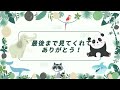 コモモお姉ちゃんをおこすスモモちゃん【2023年4月13日】【上野動物園】ゴリラ