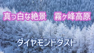 霧ヶ峰高原　真っ白／大当たりの日　【ダイヤモンドダスト】