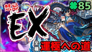 【🔴LIVE】お昼から激獣神祭！　禁忌EX阿頼耶マラソン『深夜のモンスト配信』 - モンスターストライク【2023/08/04】