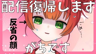 【 #雑談 】復帰するよ、ほんとだよ【 姫宮りんご / #vtuber  】