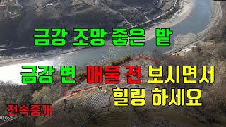 금강 변  조망 좋은 전 매매. 매물156번(전속중개)