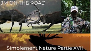 WILDLIFE SIMPLEMENT NATURE PARTIE XVII BRAME DU CERF