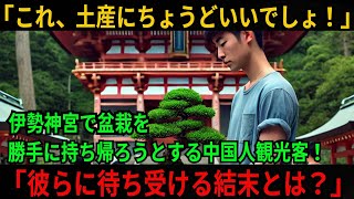 【スカッと】「これ土産にちょうどいいでしょ！」伊勢神宮で盆栽を勝手に持ち帰ろうとする中国人観光客にまさかの天罰が...！【中国人観光客】