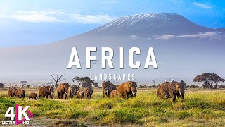 アフリカ 4K • 息を呑む野生動物、部族音楽 - リラクゼーション映画 - 自然 4K ビデオ UltraHD