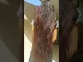 _wet long hair dry moment hair play amazing moment wet hair dry