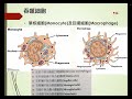 110 02 免疫學特論 先天性免疫