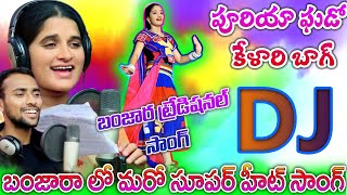 St dj songs | Puriya gado kelari bag dj | Banjara dj songs | Banjara songs | st dj | Balaji creation