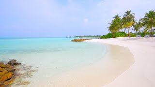 Ocean 4K (12 HOURS) 🏝 Pacific Island Paradise in Maldives