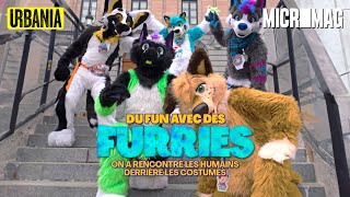 Du fun avec des Furries | Micromag