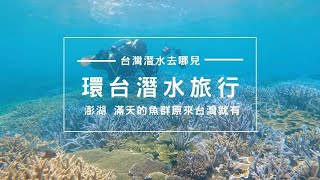 台灣潛水｜ 澎湖旅遊 南方四島 滿天的魚群原來台灣就有  Taiwan Dive Safari