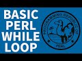 Pearl While Loop - Pearl Programming For Beginners 2022