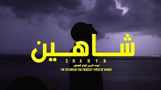 SHAHYN - THE RETURN OF THE FIERCEST TYPES OF HAWKS | شاهين - عودة اشرس انواع الصقور