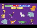 Wild Animals Song Playful Song to Learn About Wild Animals   Animals Song for Kids