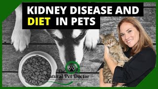 Kidney Disease, Diet and Natural Remedies in Dogs and Cats with Dr. Katie - The Natural Pet Doctor
