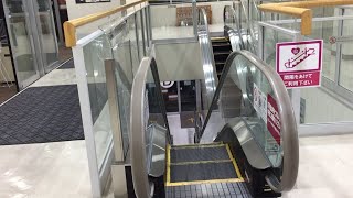 【浜松市 東区】イオンモール浜松市野 ウエストコートのエスカレーターに乗ってみた！（RF→1F）Escalator Aeon Mall Hamamatsu Ichino Japan Shizuoka