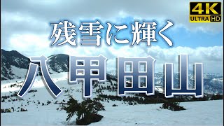 【絶景！八甲田山】5月初旬の晴れた日の朝9時半「八甲田ロープウェー」で山頂公園へ。山頂の風速は18mでしたが、一面の雪原を歩いて「陸奥湾展望台」や「三山ビューポイント」で絶景を堪能しました！4K