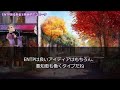 entp（討論者型）のあるある１０選 何個共感できる？ mbti 性格診断 16タイプ性格診断 entp 討論者型