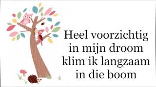 De Droomboom (instrumentaal met lyrics)