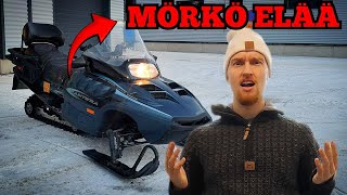 MÖRKÖ CATTI ELÄÄ! | ARCTIC CAT PANTERA 1000  -99