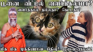 வீட்டில் பூனை வளர்க்கலாமா?  பூனை வளர்ப்பது நல்லதா? கெட்டதா? பூனை பலன் | Cat Care | Cats Facts Tamil