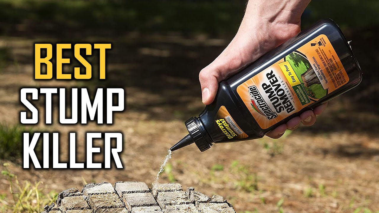 Top 5 Best Stump Killers For Roots/Eucalyptus/Conifers/Buckthorn/Bamboo ...