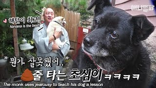 초심이와 밀당을 하는 나! 목탁밀당남 ♬ㅣThe monk plays hard to get to stop the escape dog