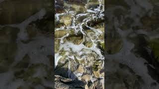 4K SEA MARE short бурный релакс - Stormy relaxation 250224 #GRRG