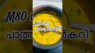 Day36/100 M80 Moosa Paathu viral Meencurry 🐟🐟 പാത്തൂന്റെ മീൻകറി ഒന്നു പരീക്ഷിച്ചാലോ ……😍😍