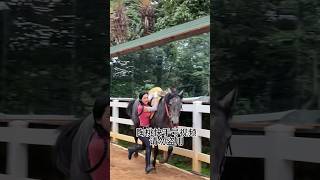 有没有想来一起骑马的 ❤️😘🌞#horseriding #horsevideo #horses #horse