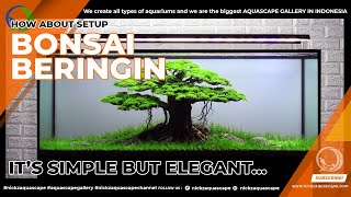 AQUASCAPE BONSAI SIMPLE || TANK SETUP CLIENT 150 CM