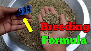 birds breeding formula | budgies breeding formula | birds breeding medicine