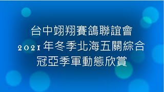 2021年台中翊翔賽鴿聯誼會北海冬季冠亞季軍動態欣賞