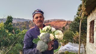 हार्दिक शुभकामनाएं गणतंत्र दिवस और नगर पालिका गंगोलीहाट अध्यक्ष पद भाजपा जीती