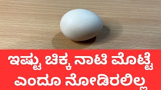 ಇಷ್ಟು ಚಿಕ್ಕ ನಾಟಿ ಮೊಟ್ಟೆ ಎಂದೂ ನೋಡಿರಲಿಲ್ಲ.