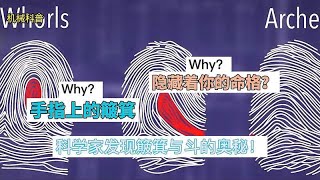 科学家发现簸箕与斗的奥秘：手指上的簸箕