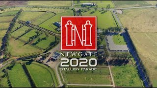 New for 2020 - Brutal, Cosmic Force \u0026 Tassort - Newgate Stallion Parade