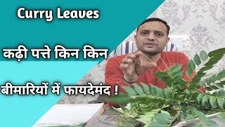 Curry Leaves | कढ़ी पत्ते किन किन बीमारियों में फायदेमंद !