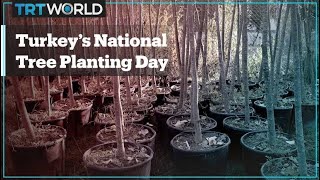 Turkish President Erdogan announces National Tree Planting Day