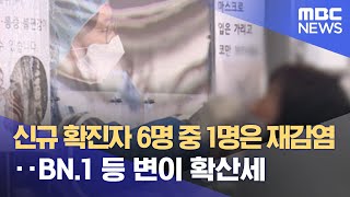 신규 확진자 6명 중 1명은 재감염‥BN.1 등 변이 확산세 (2022.12.21/5MBC뉴스)