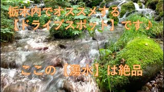 【ドライブ好き：県外の方】へ　〜栃木県オススメのドライブ・スポット〜